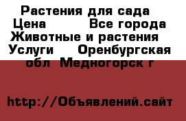 Растения для сада › Цена ­ 200 - Все города Животные и растения » Услуги   . Оренбургская обл.,Медногорск г.